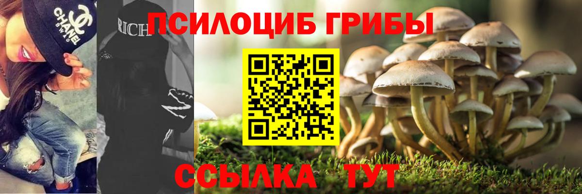 Полысаево  Псилоцибиновые грибы Cubensis  Псилоцибиновые грибы Psilocybine cubensis  Вход с VPN 